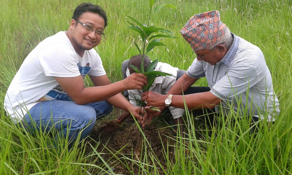 Tree Plantation 17th Branch